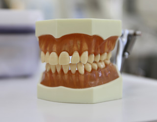 歯ぐきのケア　治療　歯科医院　SEIDA式はグキマッサージ